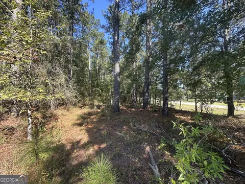 0 Bascom Rd, Sylvania, GA 30467 photo 2