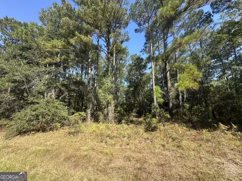 0 Bascom Rd, Sylvania, GA 30467 photo 8