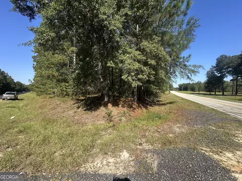0 Bascom Rd, Sylvania, GA 30467 photo 4