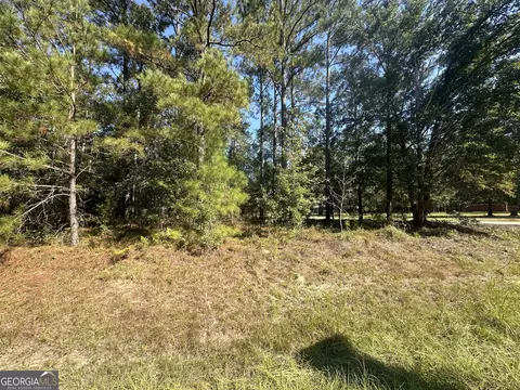 0 Bascom Rd, Sylvania, GA 30467 photo 5