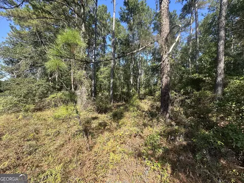 0 Bascom Rd, Sylvania, GA 30467 photo 6
