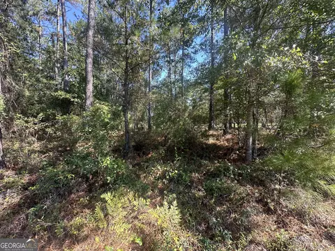 0 Bascom Rd, Sylvania, GA 30467 photo 7