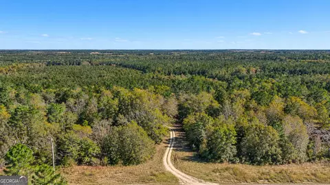 0 Old Surrency Rd, Surrency, GA 31563 photo 6