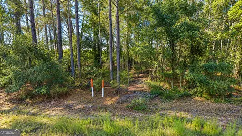 0 Old Surrency Rd, Surrency, GA 31563 photo 2
