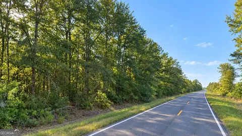 0 Old Surrency Rd, Surrency, GA 31563 photo 9