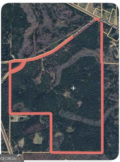 0 Joe Anthony Rd, Senoia, GA 30276