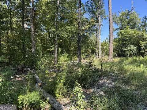 0 Highway 18 E, Gray, GA 31032 photo 3