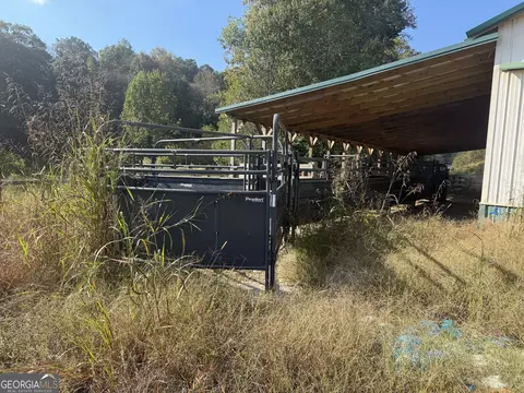 541 Addison Rd, Buchanan, GA 30113 photo 47