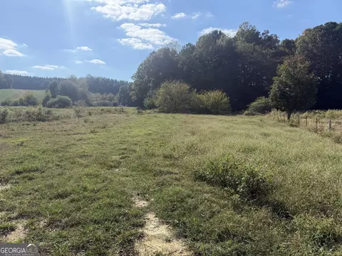 541 Addison Rd, Buchanan, GA 30113 photo 39