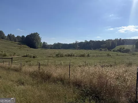 541 Addison Rd, Buchanan, GA 30113 photo 37