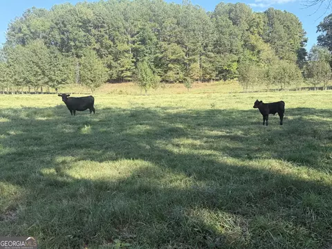 541 Addison Rd, Buchanan, GA 30113 photo 21