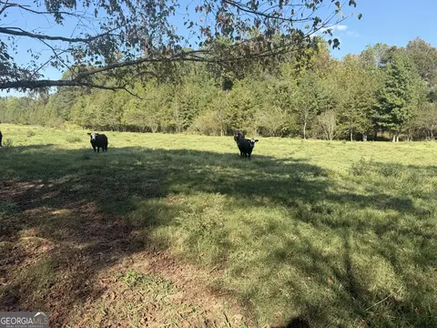 541 Addison Rd, Buchanan, GA 30113 photo 33