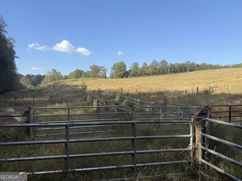 541 Addison Rd, Buchanan, GA 30113 photo 50