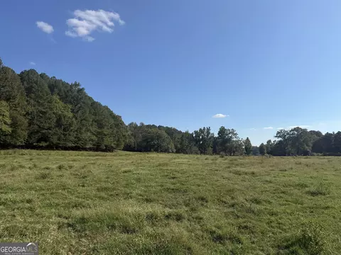 541 Addison Rd, Buchanan, GA 30113 photo 11