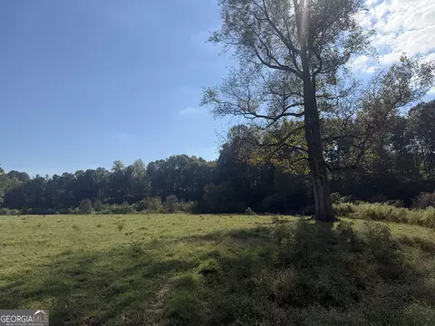 541 Addison Rd, Buchanan, GA 30113 photo 14