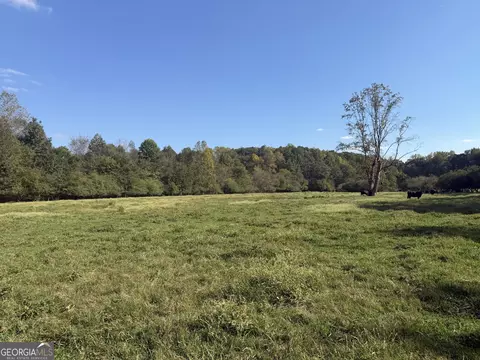 541 Addison Rd, Buchanan, GA 30113 photo 43
