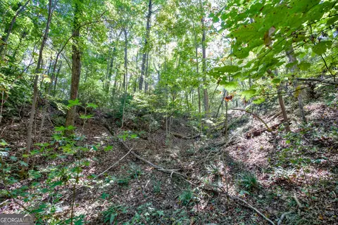 16 Ac Soapstone Rd, Baldwin, GA 30511 photo 26