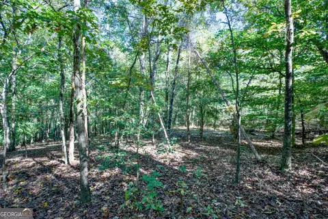 16 Ac Soapstone Rd, Baldwin, GA 30511 photo 16