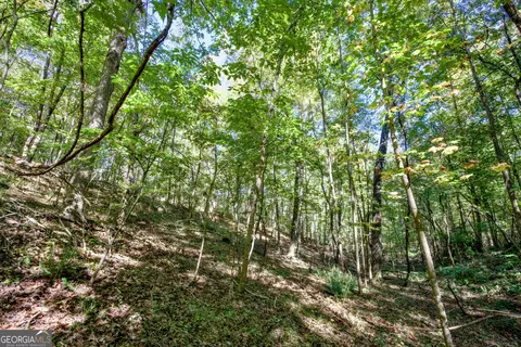16 Ac Soapstone Rd, Baldwin, GA 30511 photo 25
