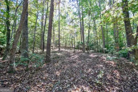 16 Ac Soapstone Rd, Baldwin, GA 30511 photo 9
