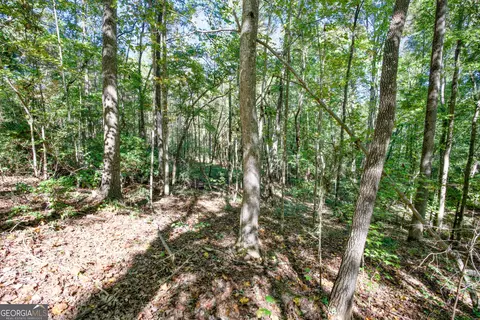 16 Ac Soapstone Rd, Baldwin, GA 30511 photo 19
