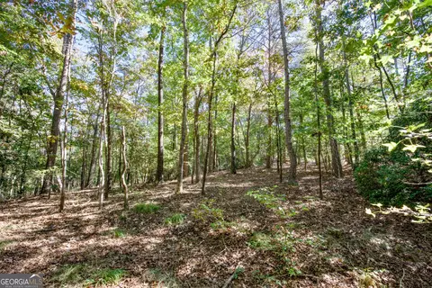 16 Ac Soapstone Rd, Baldwin, GA 30511 photo 6