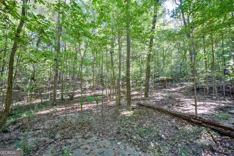 16 Ac Soapstone Rd, Baldwin, GA 30511 photo 7