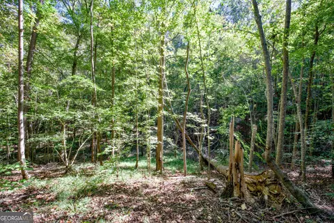 16 Ac Soapstone Rd, Baldwin, GA 30511 photo 18