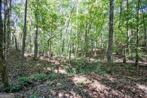 16 Ac Soapstone Rd, Baldwin, GA 30511 photo 5