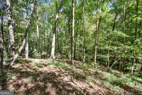 16 Ac Soapstone Rd, Baldwin, GA 30511 photo 8