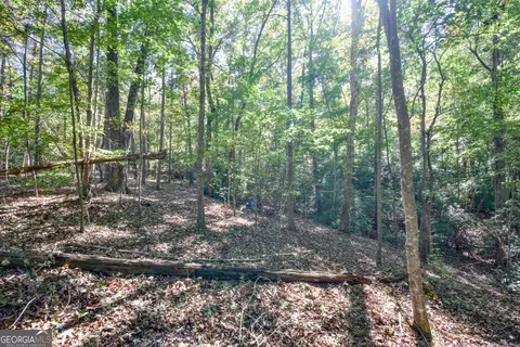 16 Ac Soapstone Rd, Baldwin, GA 30511 photo 28