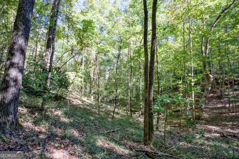 16 Ac Soapstone Rd, Baldwin, GA 30511 photo 17