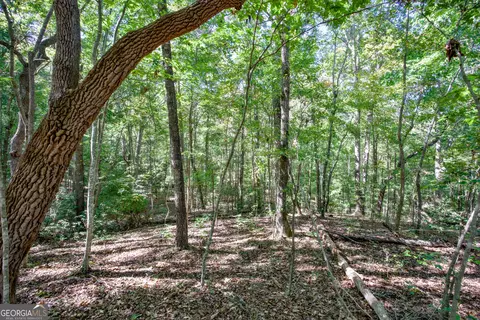 16 Ac Soapstone Rd, Baldwin, GA 30511 photo 4