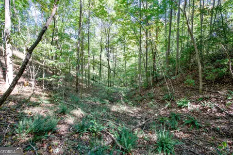 16 Ac Soapstone Rd, Baldwin, GA 30511 photo 21