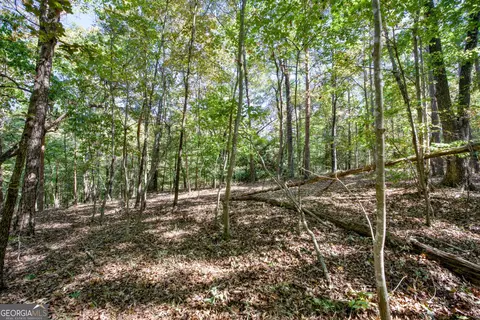16 Ac Soapstone Rd, Baldwin, GA 30511 photo 15