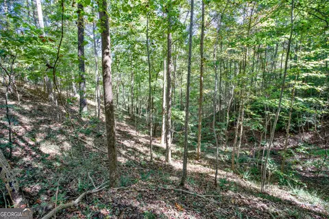 16 Ac Soapstone Rd, Baldwin, GA 30511 photo 10