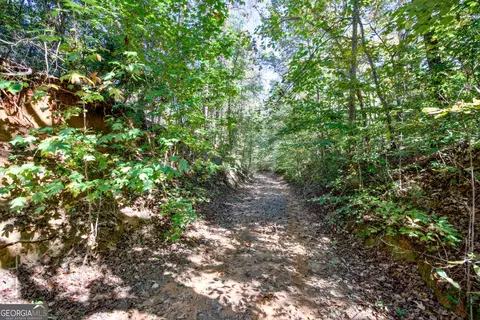 16 Ac Soapstone Rd, Baldwin, GA 30511 photo 3