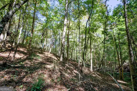 16 Ac Soapstone Rd, Baldwin, GA 30511 photo 24