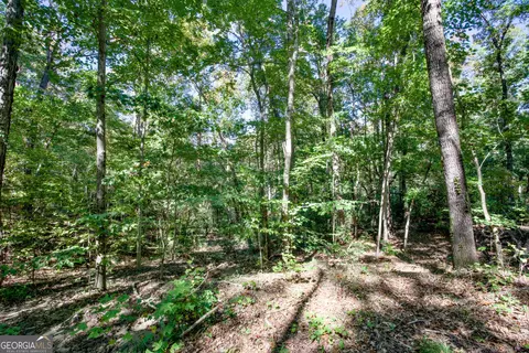 16 Ac Soapstone Rd, Baldwin, GA 30511 photo 14