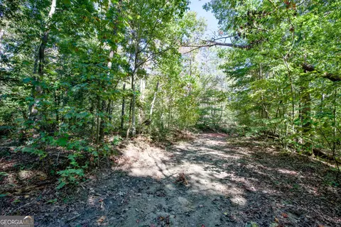 16 Ac Soapstone Rd, Baldwin, GA 30511 photo 27