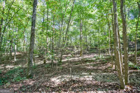 16 Ac Soapstone Rd, Baldwin, GA 30511 photo 11
