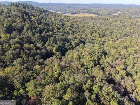 16 Ac Soapstone Rd, Baldwin, GA 30511 photo 32