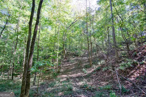 16 Ac Soapstone Rd, Baldwin, GA 30511 photo 20