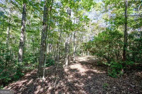 16 Ac Soapstone Rd, Baldwin, GA 30511 photo 2