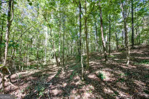 16 Ac Soapstone Rd, Baldwin, GA 30511 photo 12