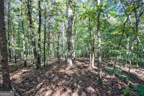16 Ac Soapstone Rd, Baldwin, GA 30511 photo 13