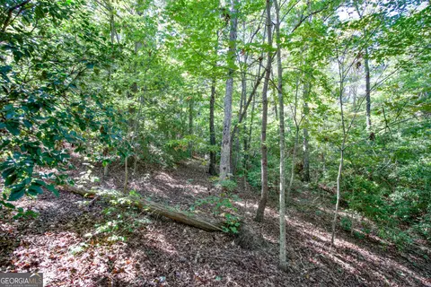 16 Ac Soapstone Rd, Baldwin, GA 30511 photo 23
