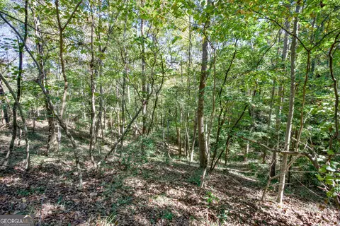 16 Ac Soapstone Rd, Baldwin, GA 30511 photo 22