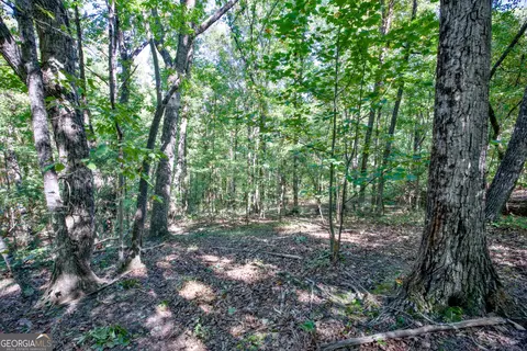 52 Ac Soapstone Rd, Baldwin, GA 30511 photo 22