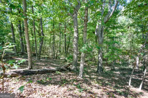 52 Ac Soapstone Rd, Baldwin, GA 30511 photo 28